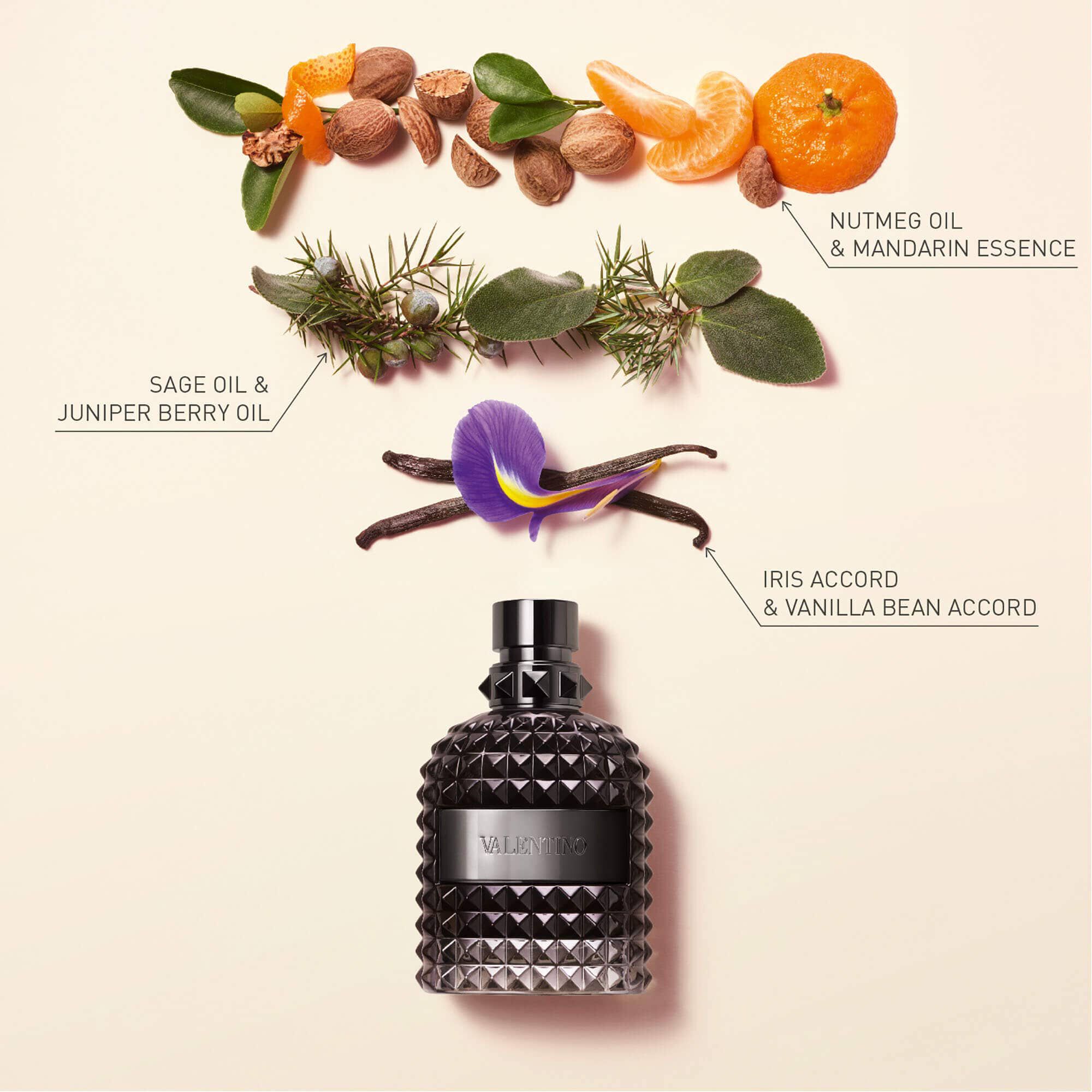 Valentino perfume notes store